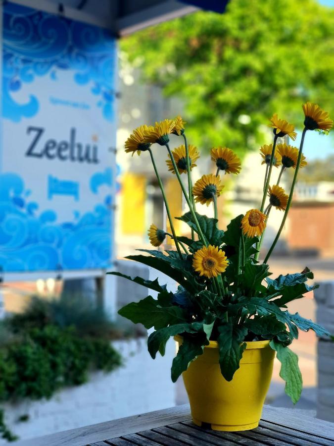 Zeelui 4* Egmond aan Zee
