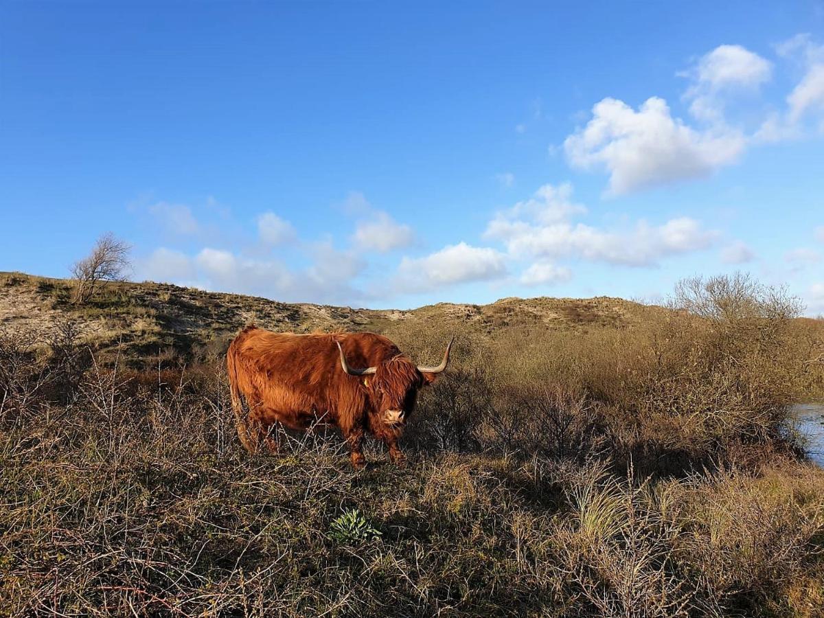 Zeelui 4* Egmond aan Zee