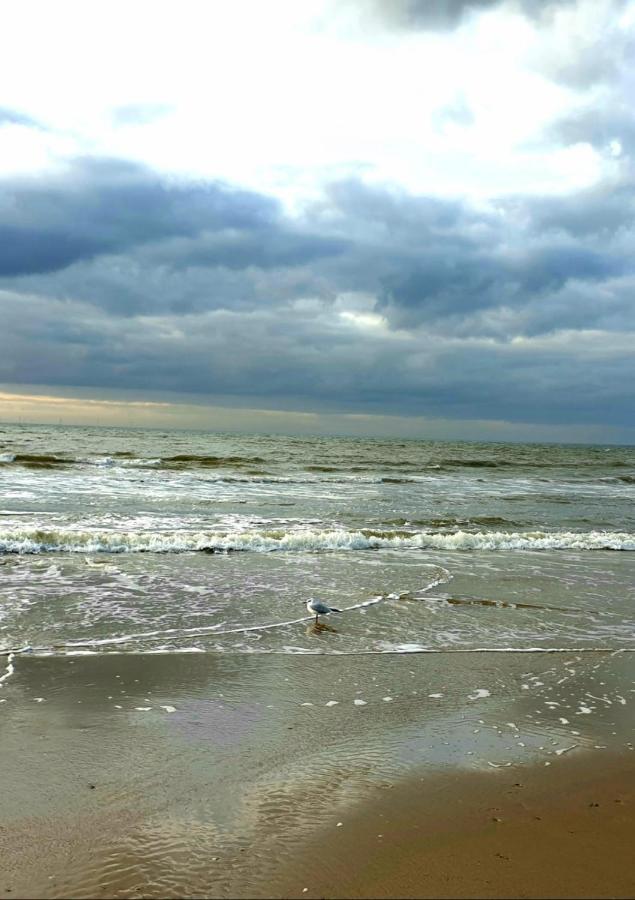 Zeelui 4* Egmond aan Zee